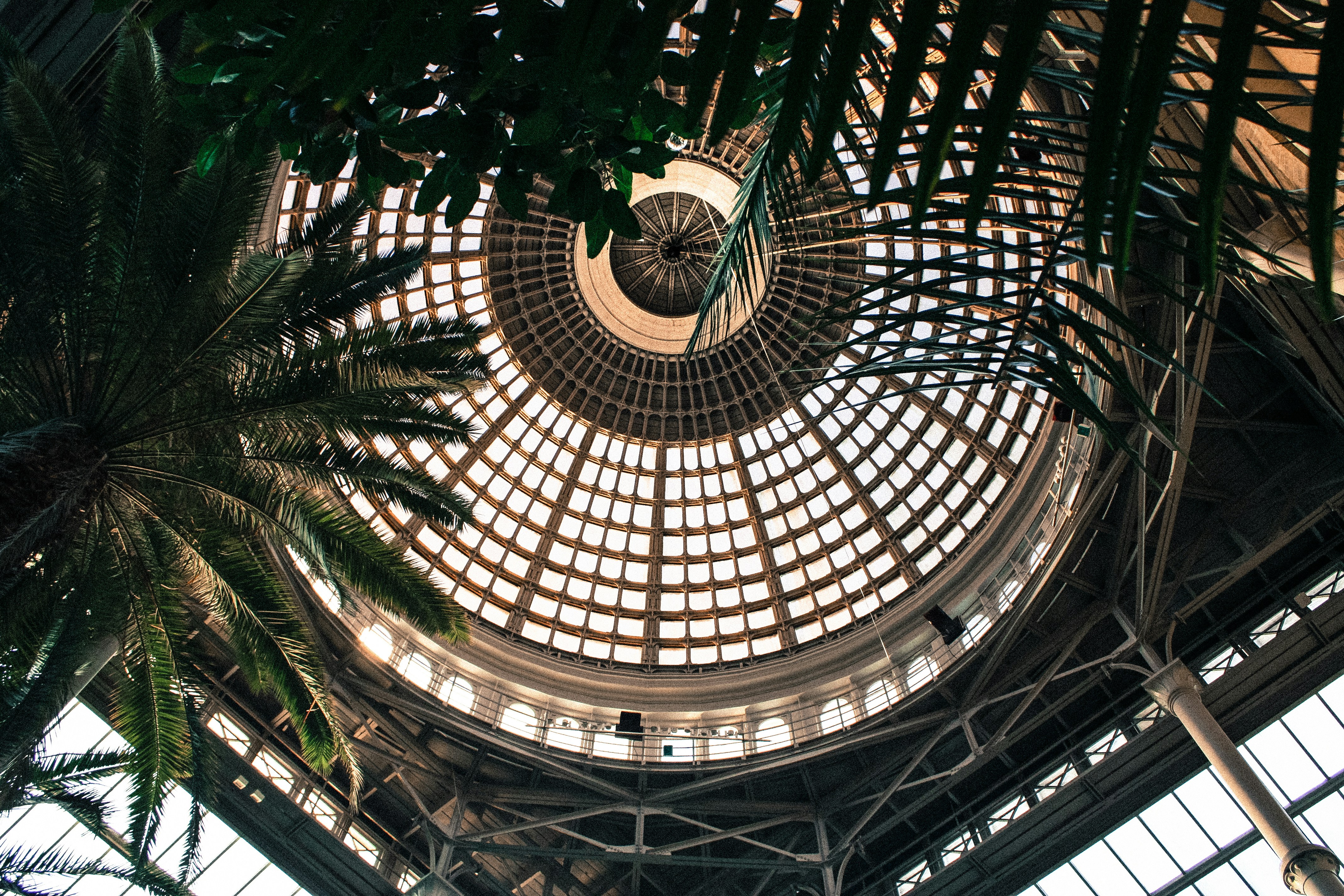 kevin-angelso-C_5l8KO6M5E-unsplash